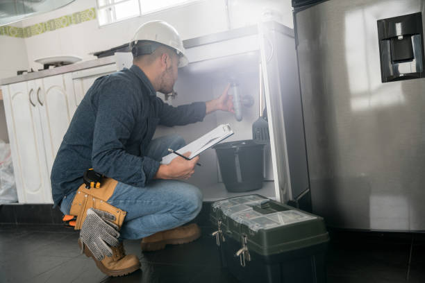 Best Drain Cleaning Services  in Gages Lake, IL