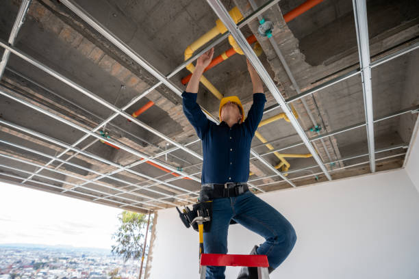 Best Clogged Drain Plumber  in Gages Lake, IL