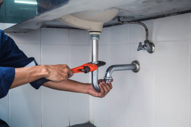 Best Local Plumber Services  in Gages Lake, IL